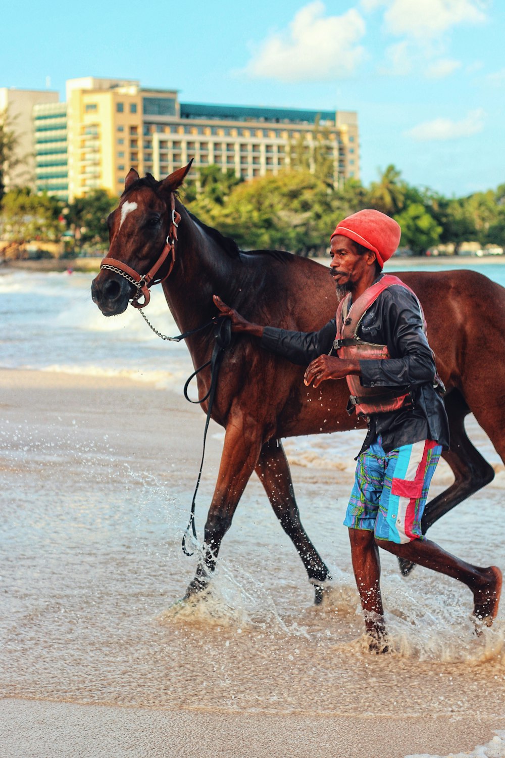 man and horse on river