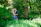 Photo of a happy couple enjoying their beautifully designed garden with lush greenery.