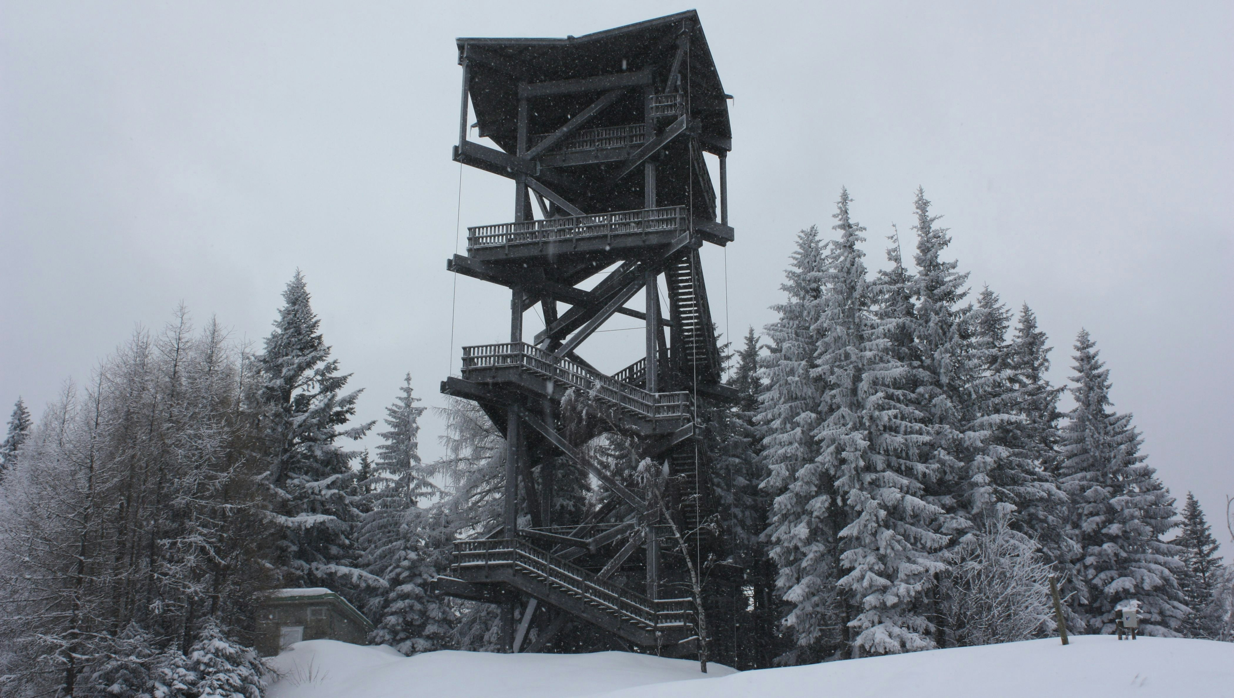 ein schneebedeckter Wald mit einer hohen Struktur in der Mitte