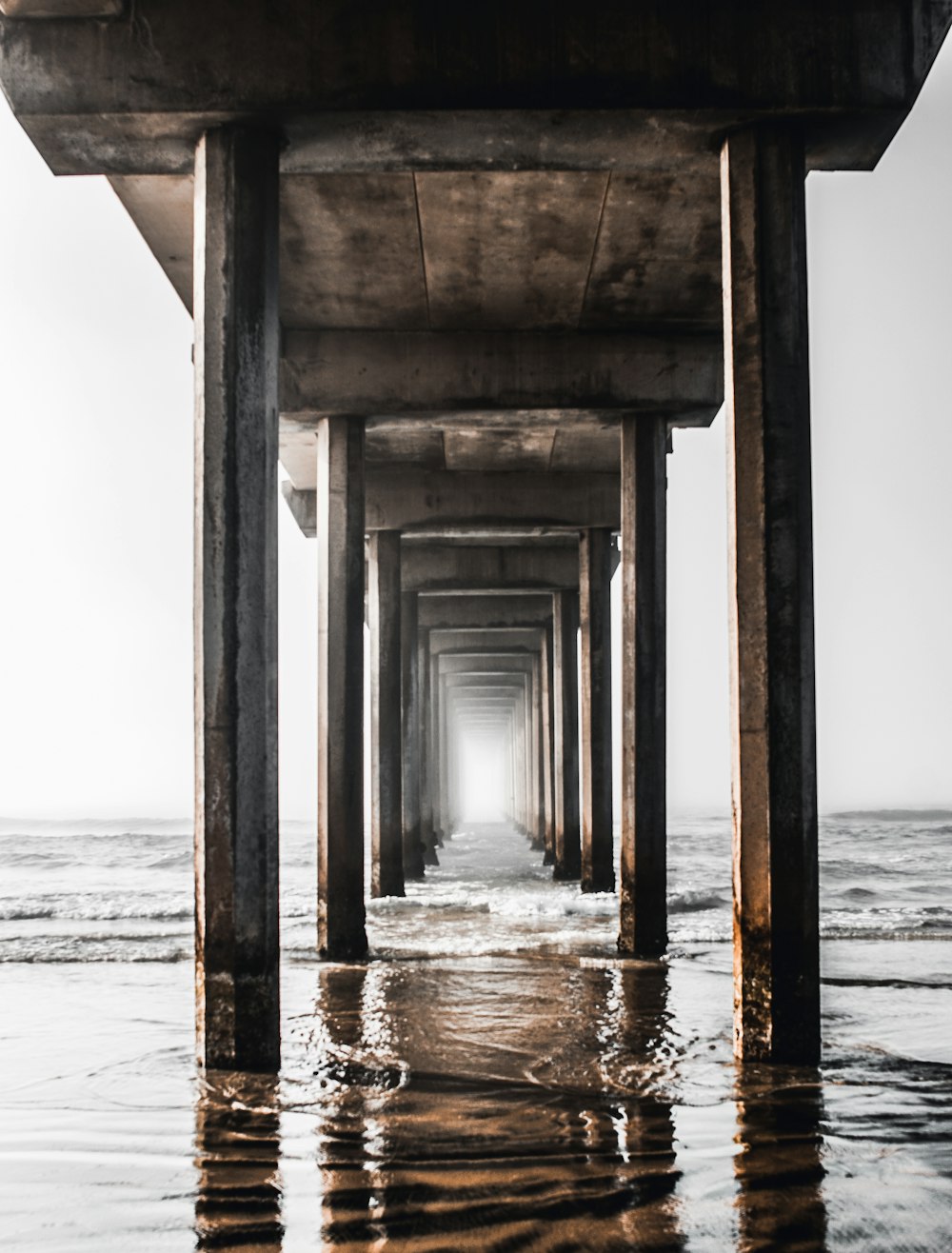 brown wooden dock photo