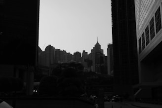 The image features a dense urban skyline with tall skyscrapers silhouetted against the sky. The scene conveys a sense of modern architecture with various towers of different shapes and sizes. The buildings are tightly packed, suggesting a bustling city environment.