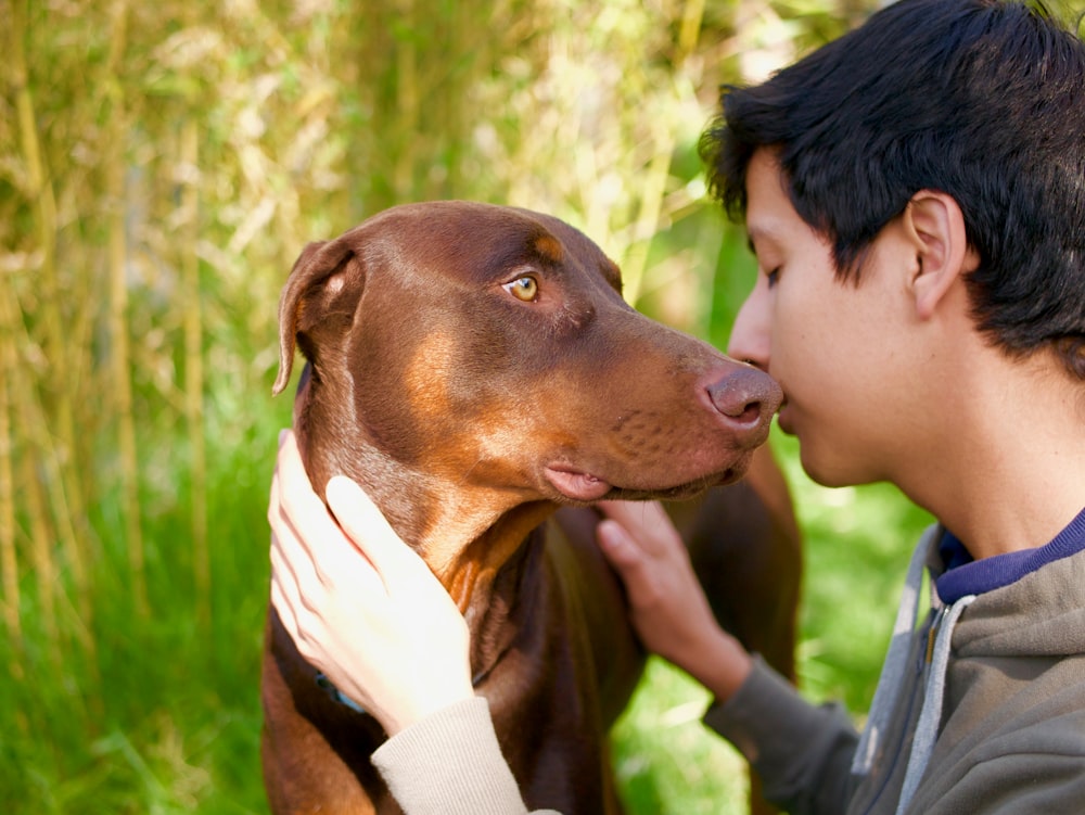 man touching short-coated brown dog