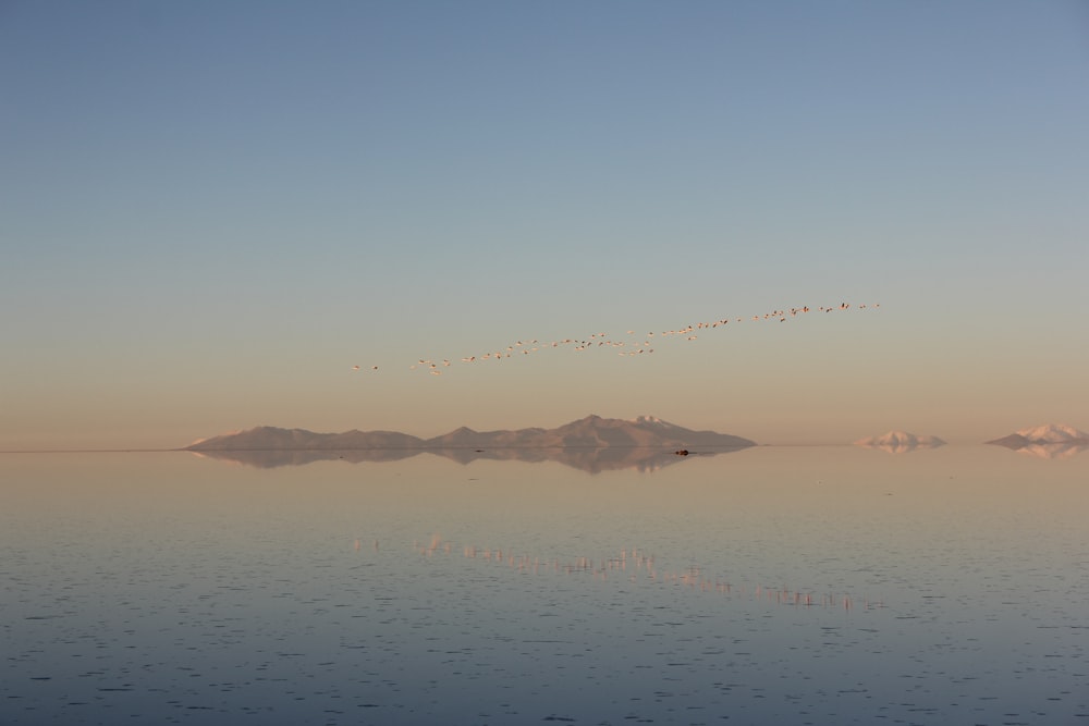 calm sea under clear blue sky