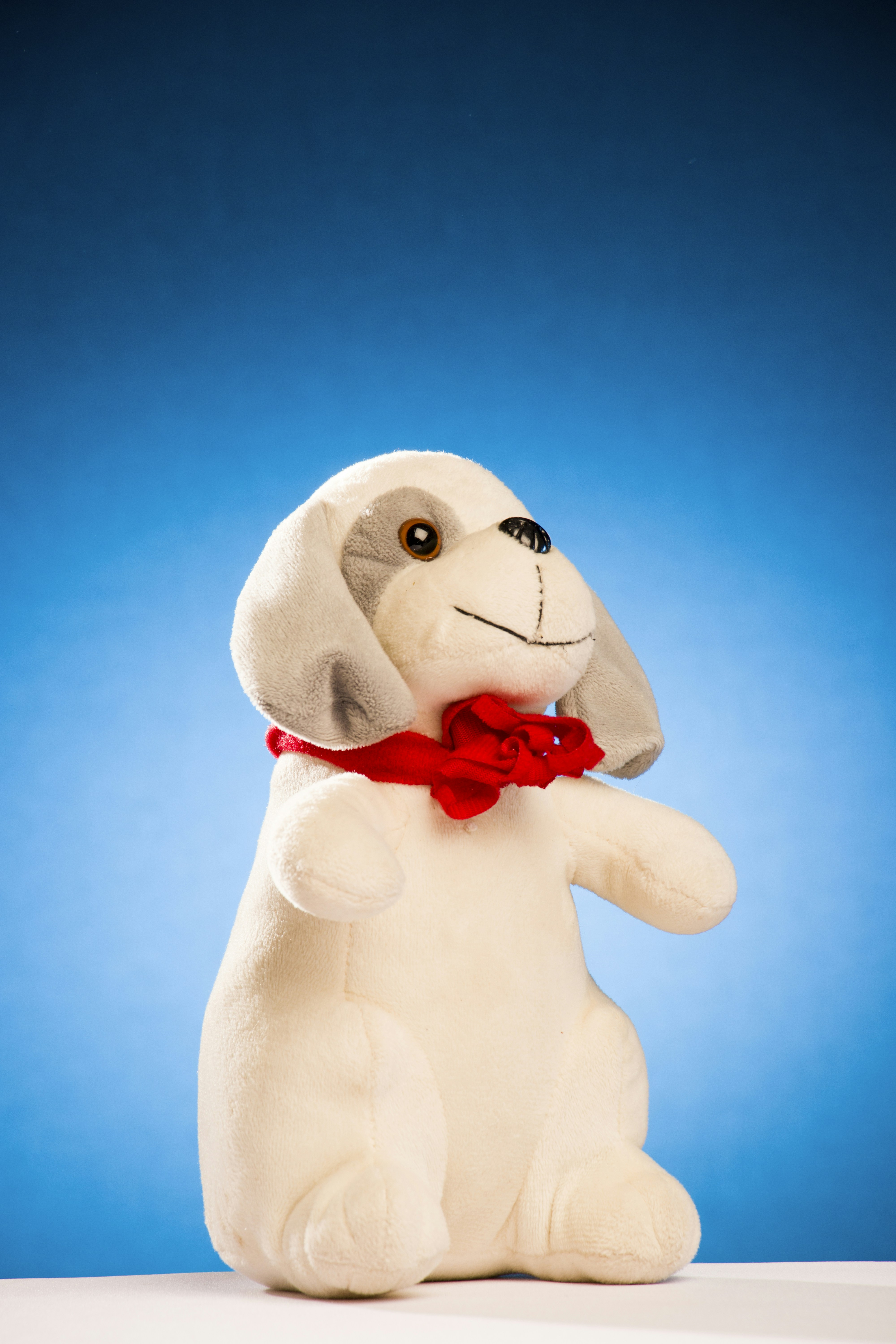 white dog plush toy