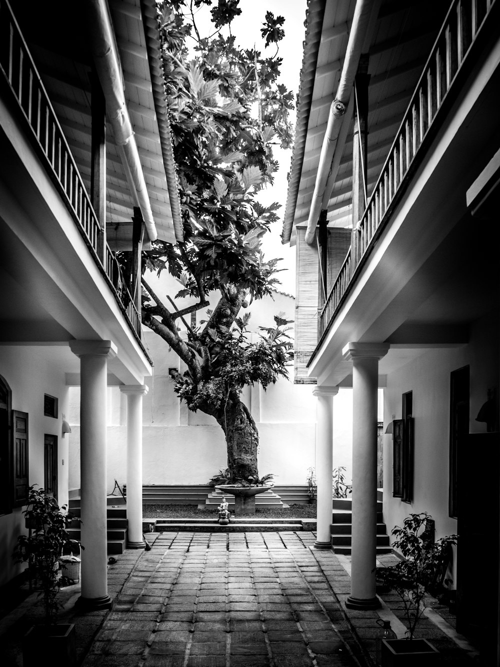 grayscale photo of two white buildings near tree