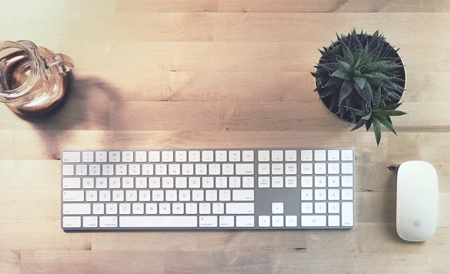 A serene workspace with a small potted herb plant beside a laptop and a cup of herbal tea.