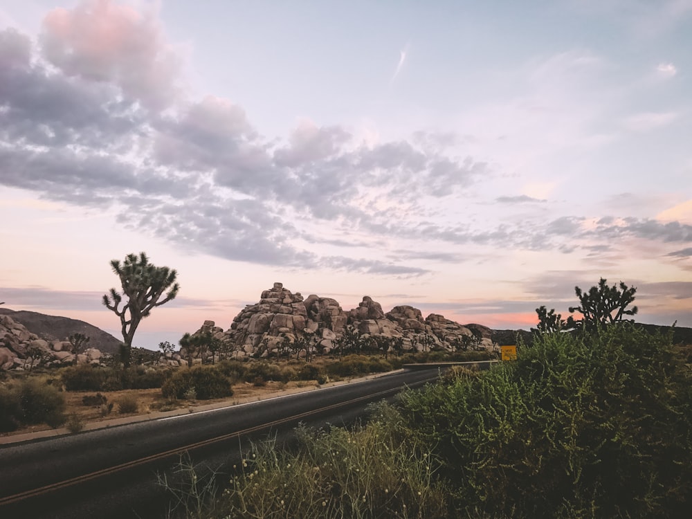 岩と道路のある砂漠の風景