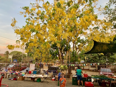 A vibrant market scene in Badekot village showcasing local services.