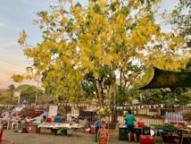 A vibrant market scene features a lush tree with bright yellow flowers prominently in the background. Several tables display an assortment of goods and produce, with people browsing and interacting. Colorful bunting hangs above the tables, adding to the lively atmosphere. A child wearing an orange shirt stands in the foreground, adding a playful element to the setting.