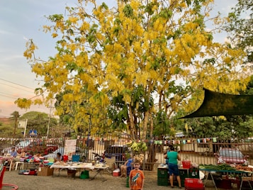 A vibrant market scene features a lush tree with bright yellow flowers prominently in the background. Several tables display an assortment of goods and produce, with people browsing and interacting. Colorful bunting hangs above the tables, adding to the lively atmosphere. A child wearing an orange shirt stands in the foreground, adding a playful element to the setting.