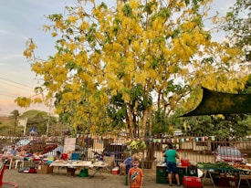 A vibrant market scene features a lush tree with bright yellow flowers prominently in the background. Several tables display an assortment of goods and produce, with people browsing and interacting. Colorful bunting hangs above the tables, adding to the lively atmosphere. A child wearing an orange shirt stands in the foreground, adding a playful element to the setting.