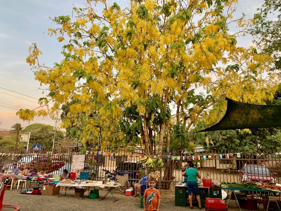 A vibrant market scene features a lush tree with bright yellow flowers prominently in the background. Several tables display an assortment of goods and produce, with people browsing and interacting. Colorful bunting hangs above the tables, adding to the lively atmosphere. A child wearing an orange shirt stands in the foreground, adding a playful element to the setting.