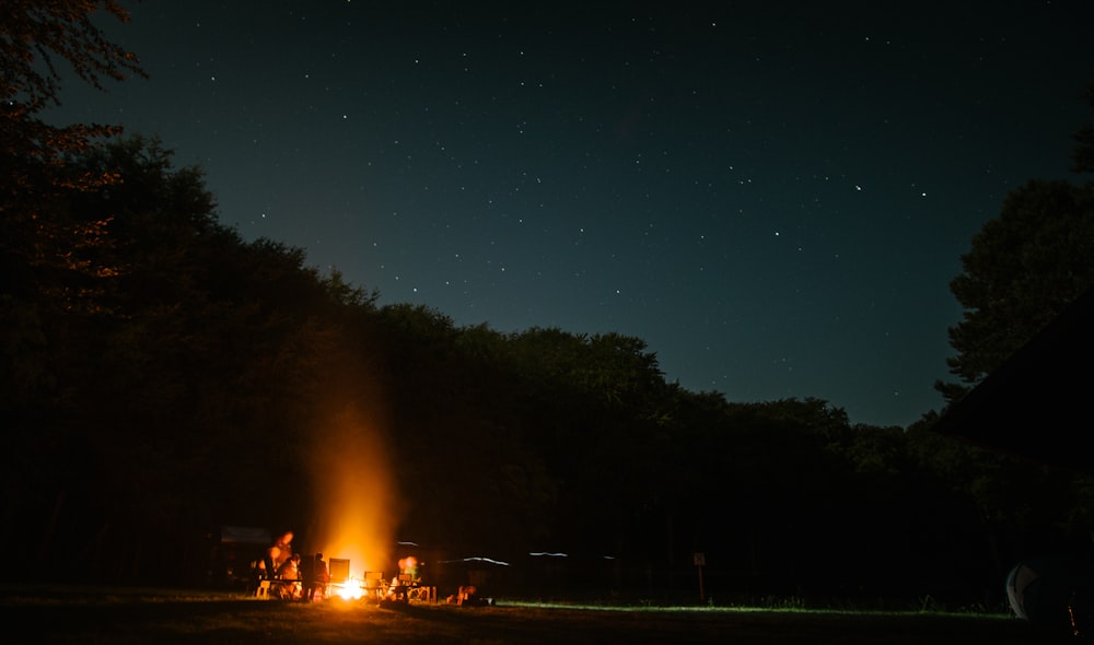 person sitting beside bonfire surrounded with trees