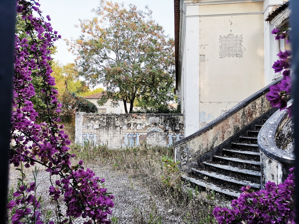 black and white concrete stairs