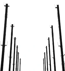 Rows of elegant extension springs hanging in a bright factory setting.