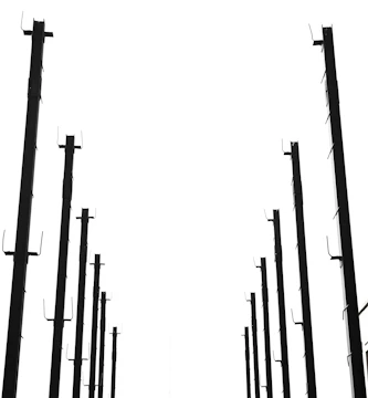 Rows of elegant extension springs hanging in a bright factory setting.