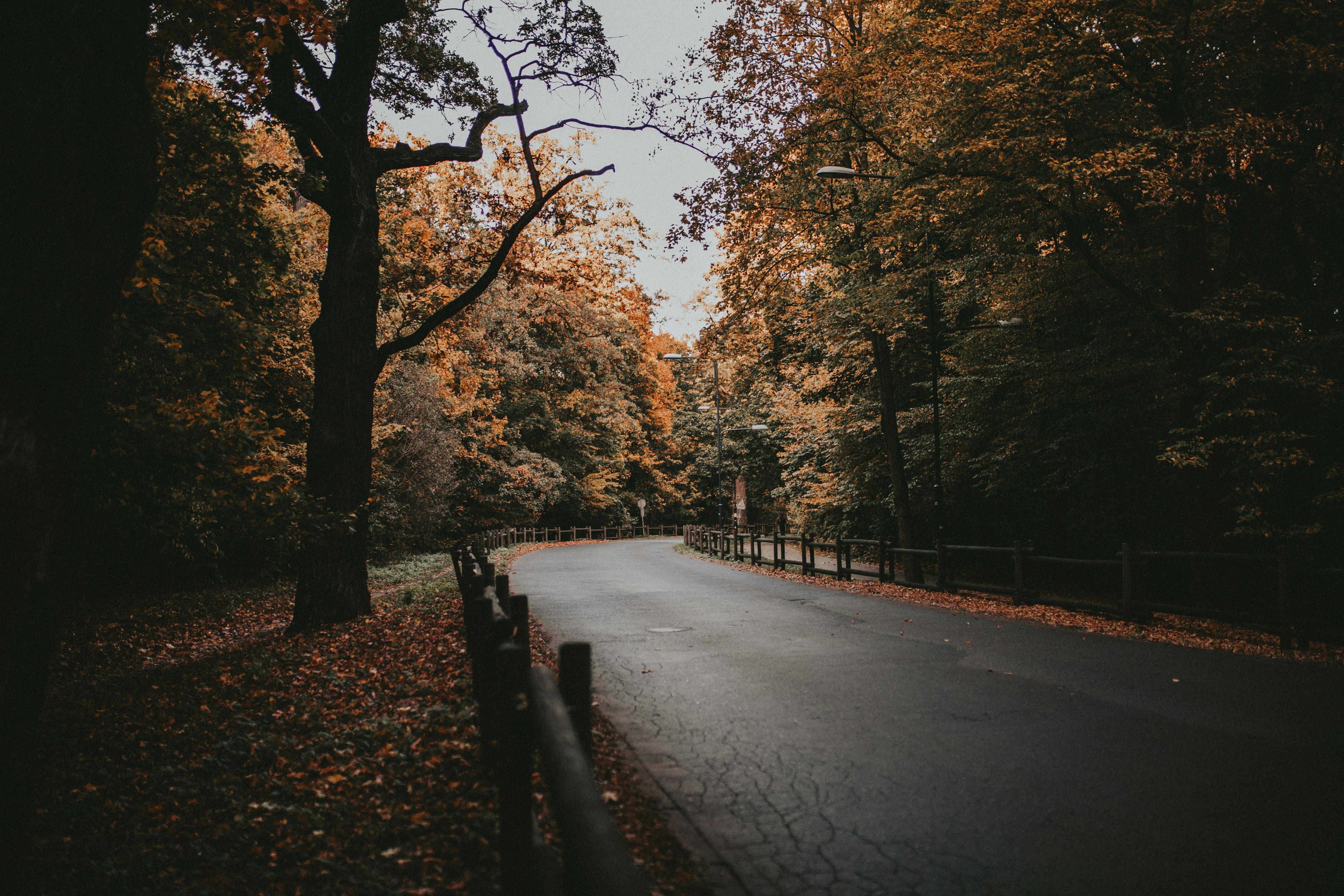 Photo by silverformymonsters