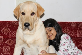 A young girl with long dark hair is snuggling up close to a large Labrador dog. They are sitting on a red patterned couch. The girl appears content and has her eyes closed with a gentle smile, as she embraces the dog. The dog is looking directly at the camera with a calm expression.