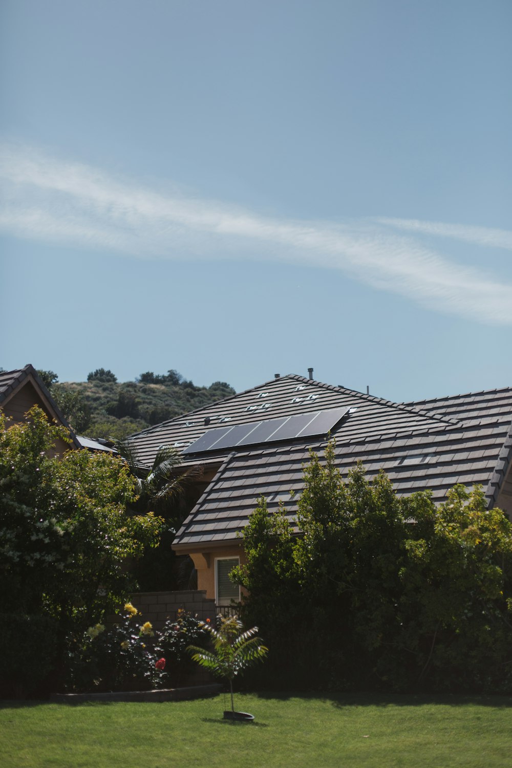 Baum neben Haus unter klarem Himmel