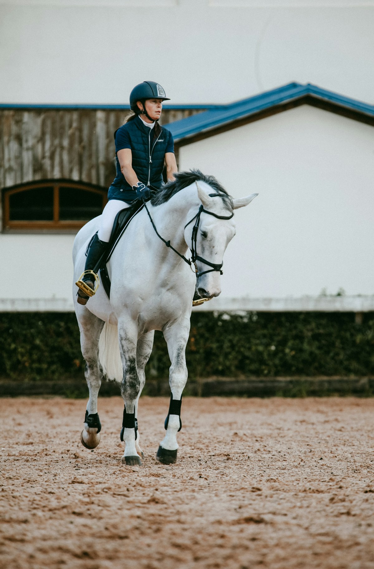 Desert Dressage I