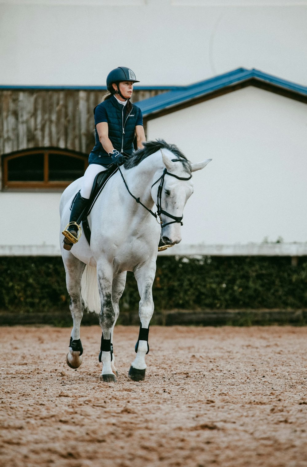 woman on horse