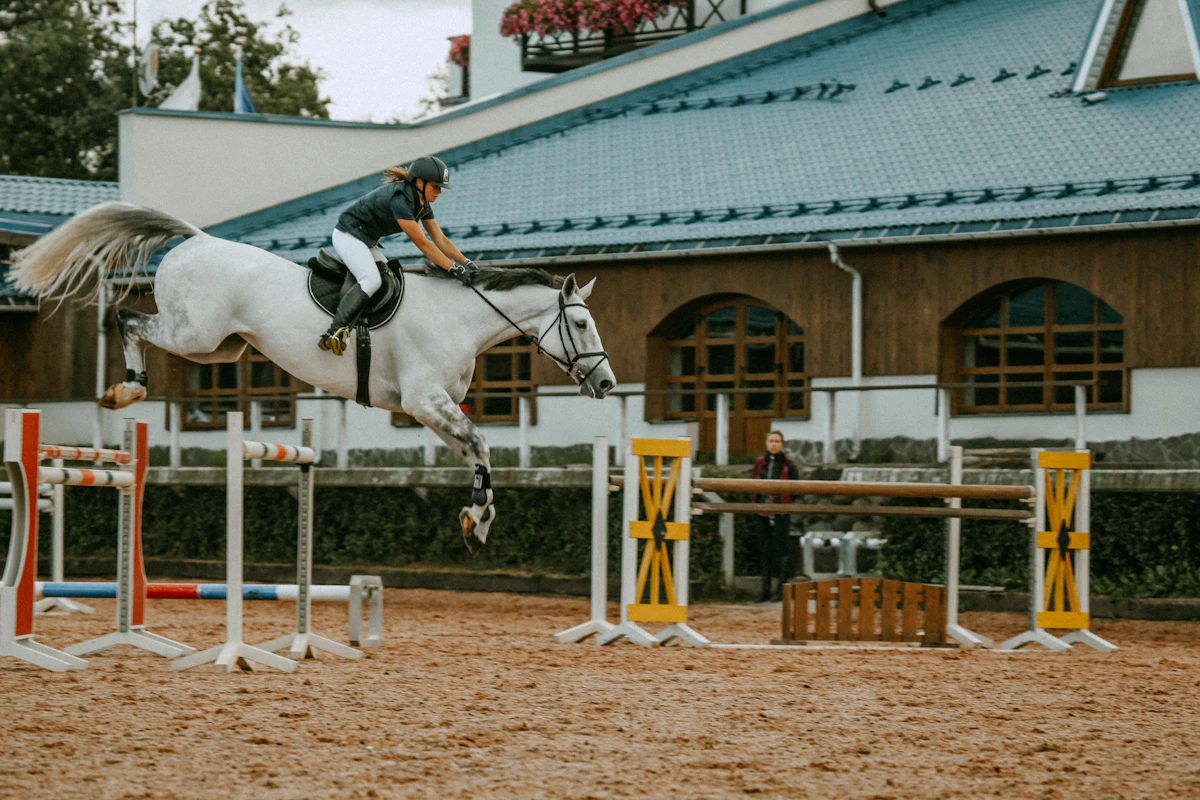 Caballo blanco y amazona durante un salto ecuestre