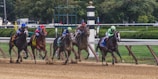 Five jockeys in colorful uniforms race horses around a dirt track with trees and stadium barriers in the background. The scene is dynamic, with dust rising from the ground as the horses gallop.