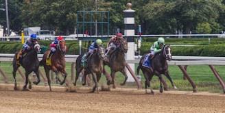 Five jockeys in colorful uniforms race horses around a dirt track with trees and stadium barriers in the background. The scene is dynamic, with dust rising from the ground as the horses gallop.