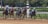 Five jockeys in colorful uniforms race horses around a dirt track with trees and stadium barriers in the background. The scene is dynamic, with dust rising from the ground as the horses gallop.