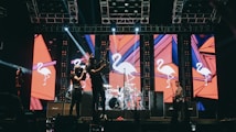 A band performing on stage with large displays in the background showing stylized flamingo graphics. Bright stage lights illuminate the performers, and various musical instruments are visible, including a guitar and drum set. The atmosphere appears festive with an energetic vibe.