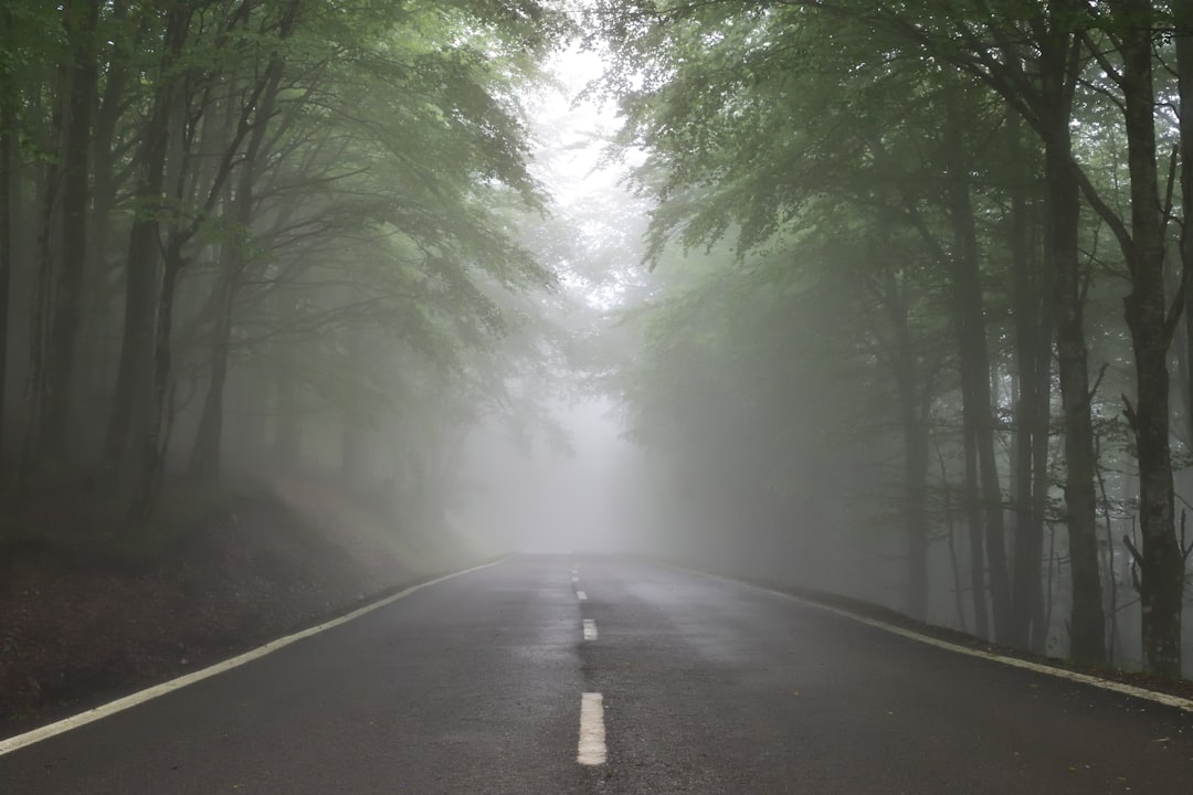 gray concrete road between trees, Uncertainty