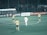 A group of soccer players is on a field, with several players wearing yellow and green uniforms and one in a white uniform. The field is surrounded by advertisements with a crowd behind the fence.