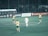 A group of soccer players is on a field, with several players wearing yellow and green uniforms and one in a white uniform. The field is surrounded by advertisements with a crowd behind the fence.
