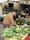 Happy man selecting fresh vegetables and dairy items at a local market stall.
