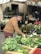Man happily selecting fresh vegetables at a local food market.