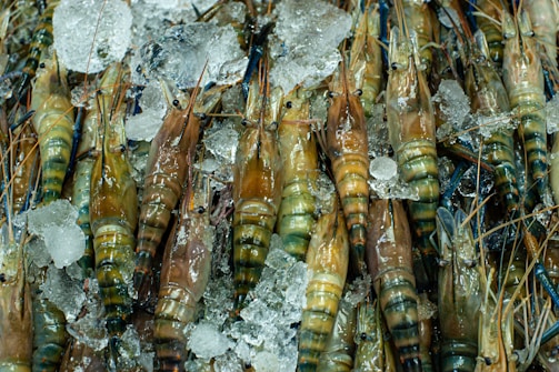 A cluster of fresh shrimp, varying in shades of brown and green, with their long antennae intertwined. The shrimp are nestled in a bed of crushed ice, glistening under the light.