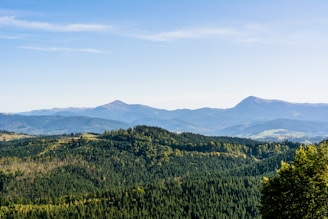 A panoramic view of a mountain trail winding through lush green forests under a clear sky.