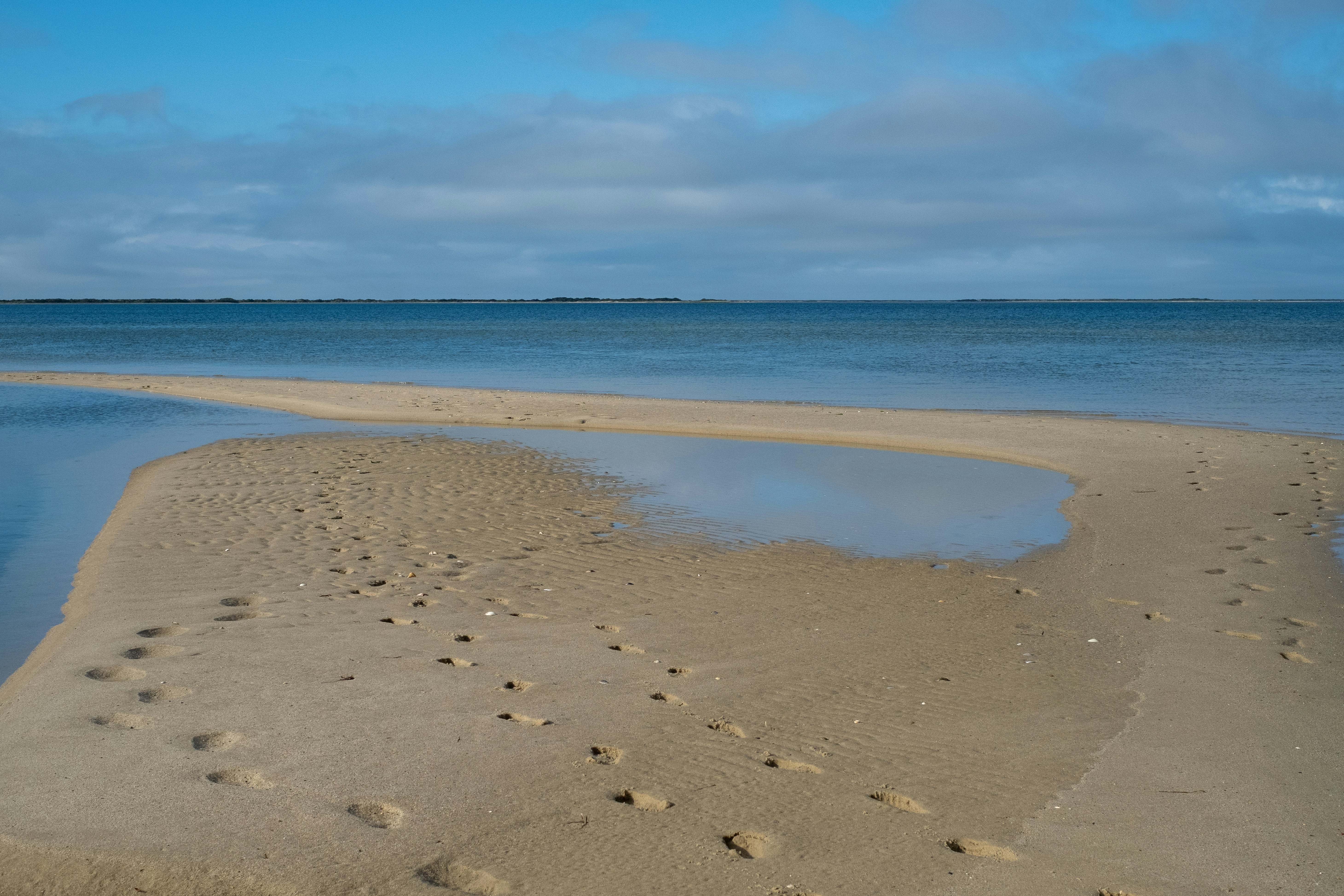 On a small, quiet beach in Nantucket.