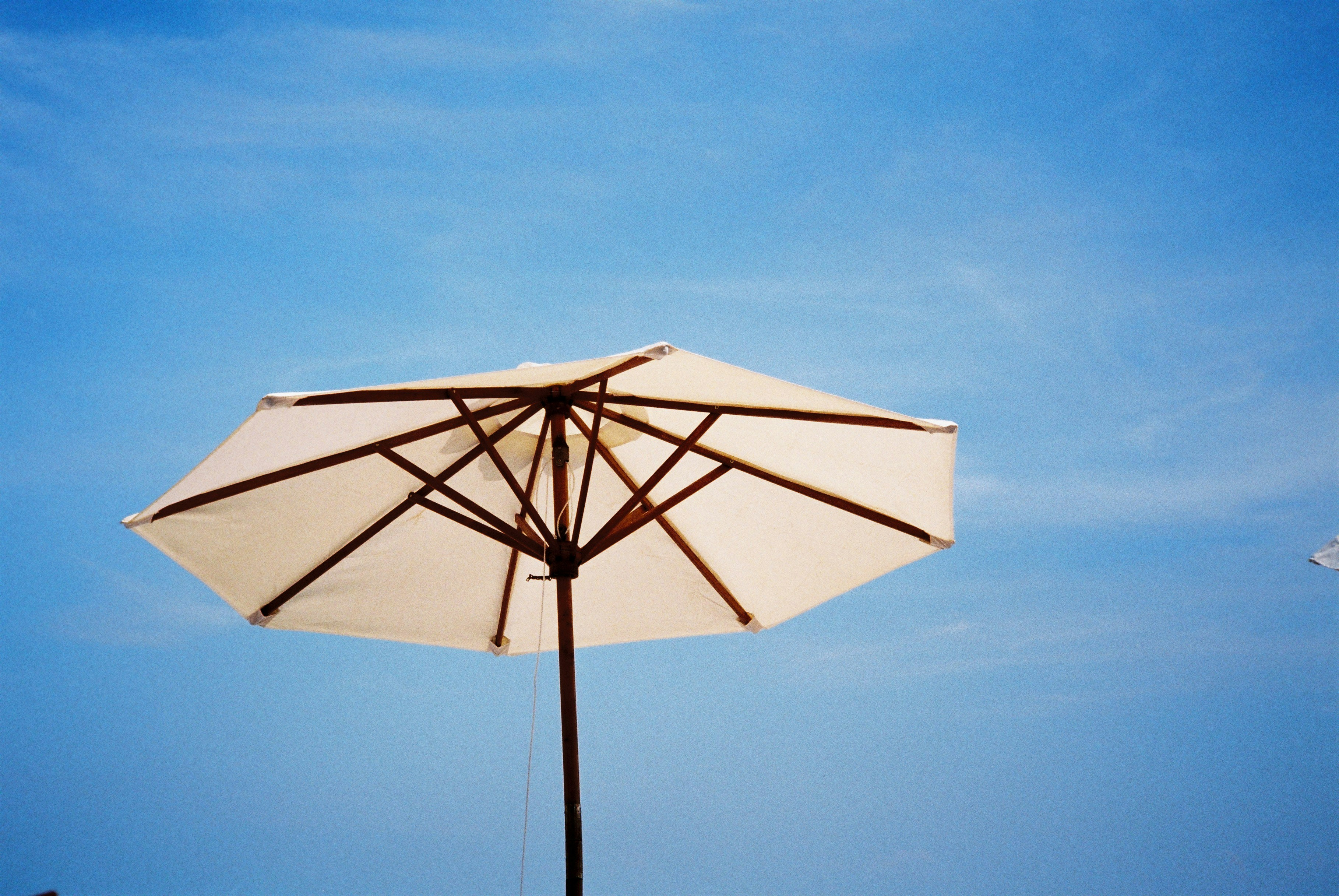 Seasonal Mood Swings: How Emotions Influence Skincare Choices