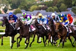 A group of jockeys wearing colorful attire race on horseback across a grassy track. There are multiple horses, each being ridden by a jockey in different vibrant uniforms. In the background, blurred greenery and rooftops of buildings can be seen, indicating a dynamic and fast-paced racing event.