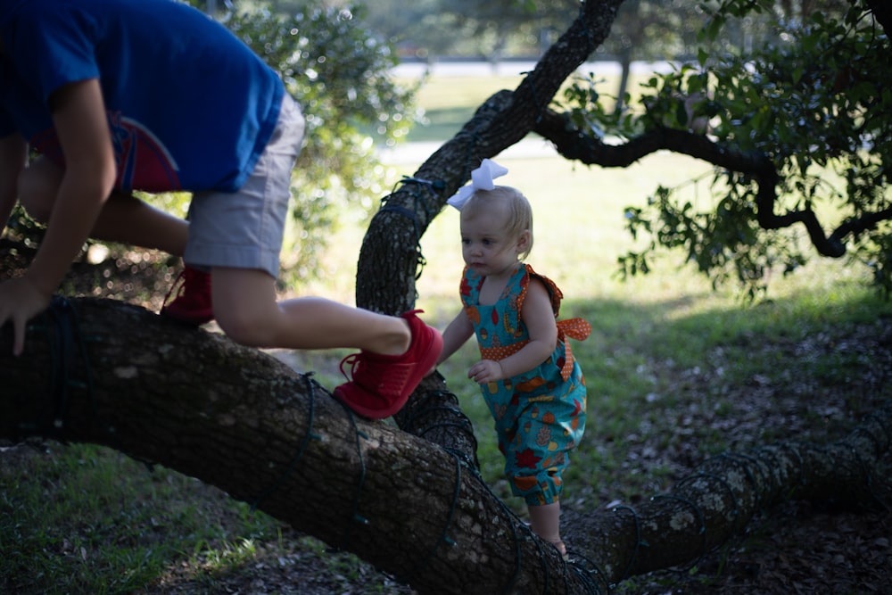 baby girl climbing on tree