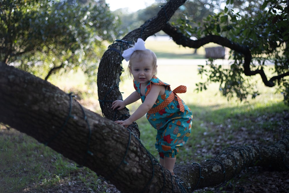 toddler climbing up a tree