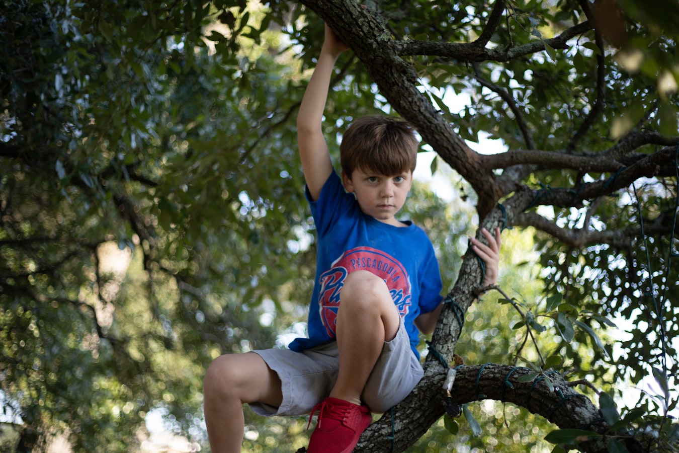 boy wearing blue shirt