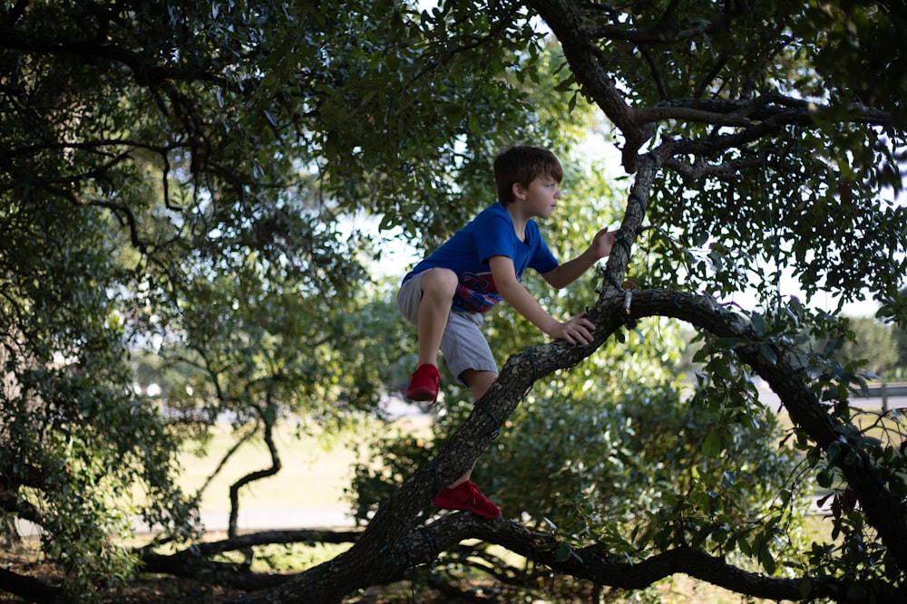 Chico con camiseta azul y pantalones cortos grises trepando a un árbol