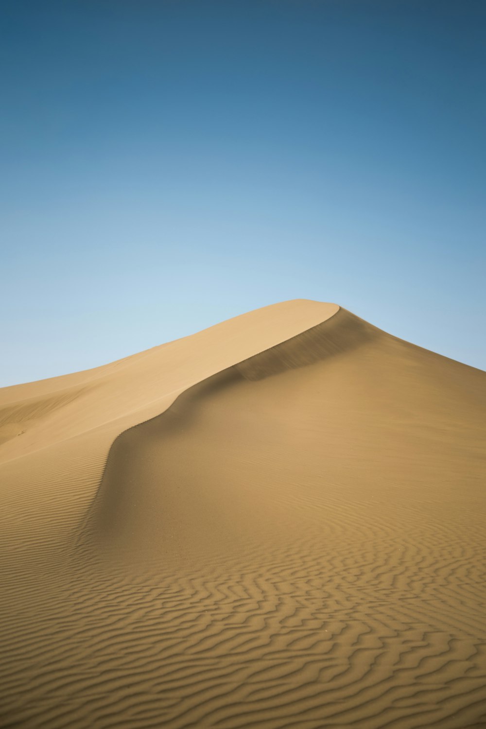 deserto durante il giorno