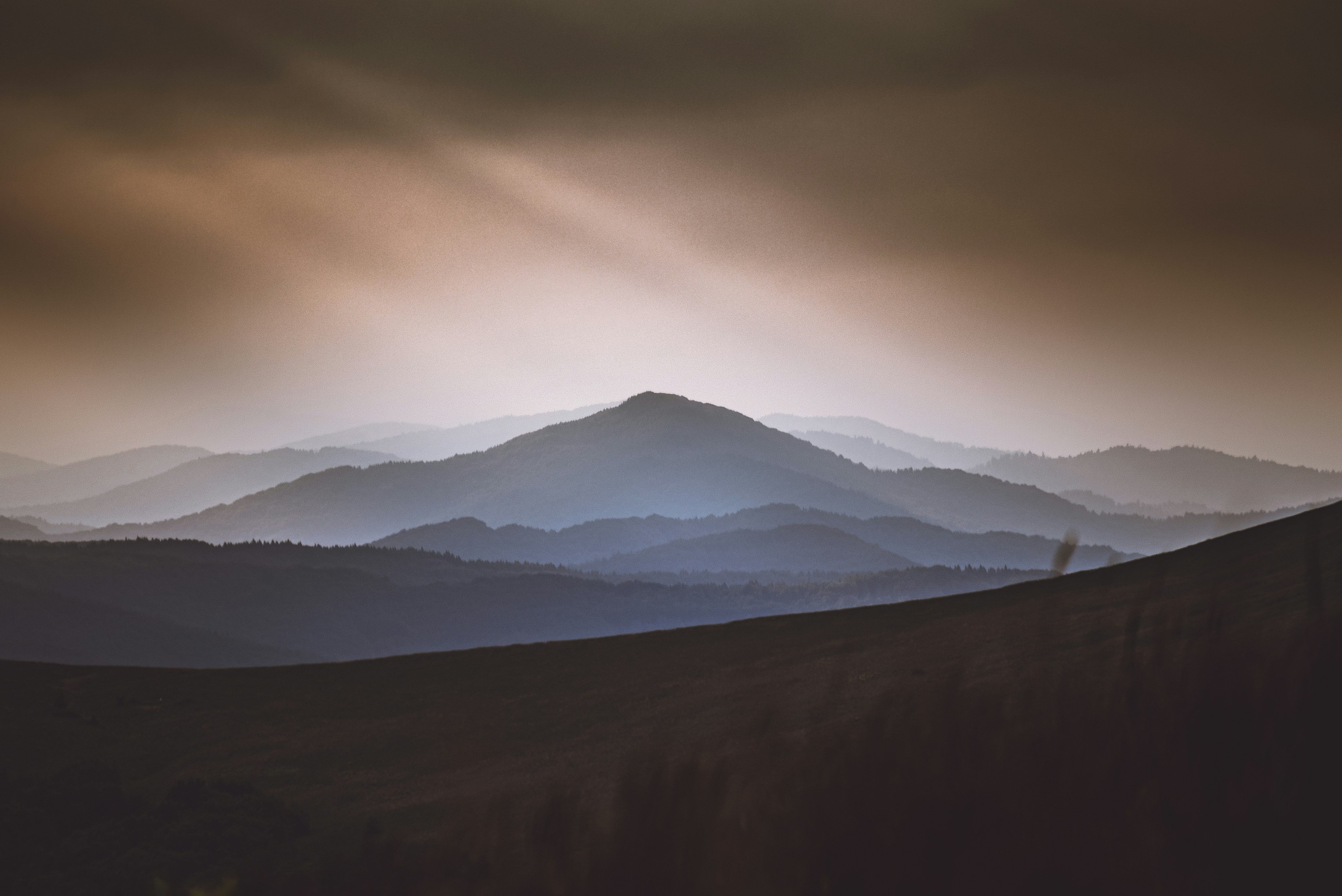 Photo by marekpiwnicki