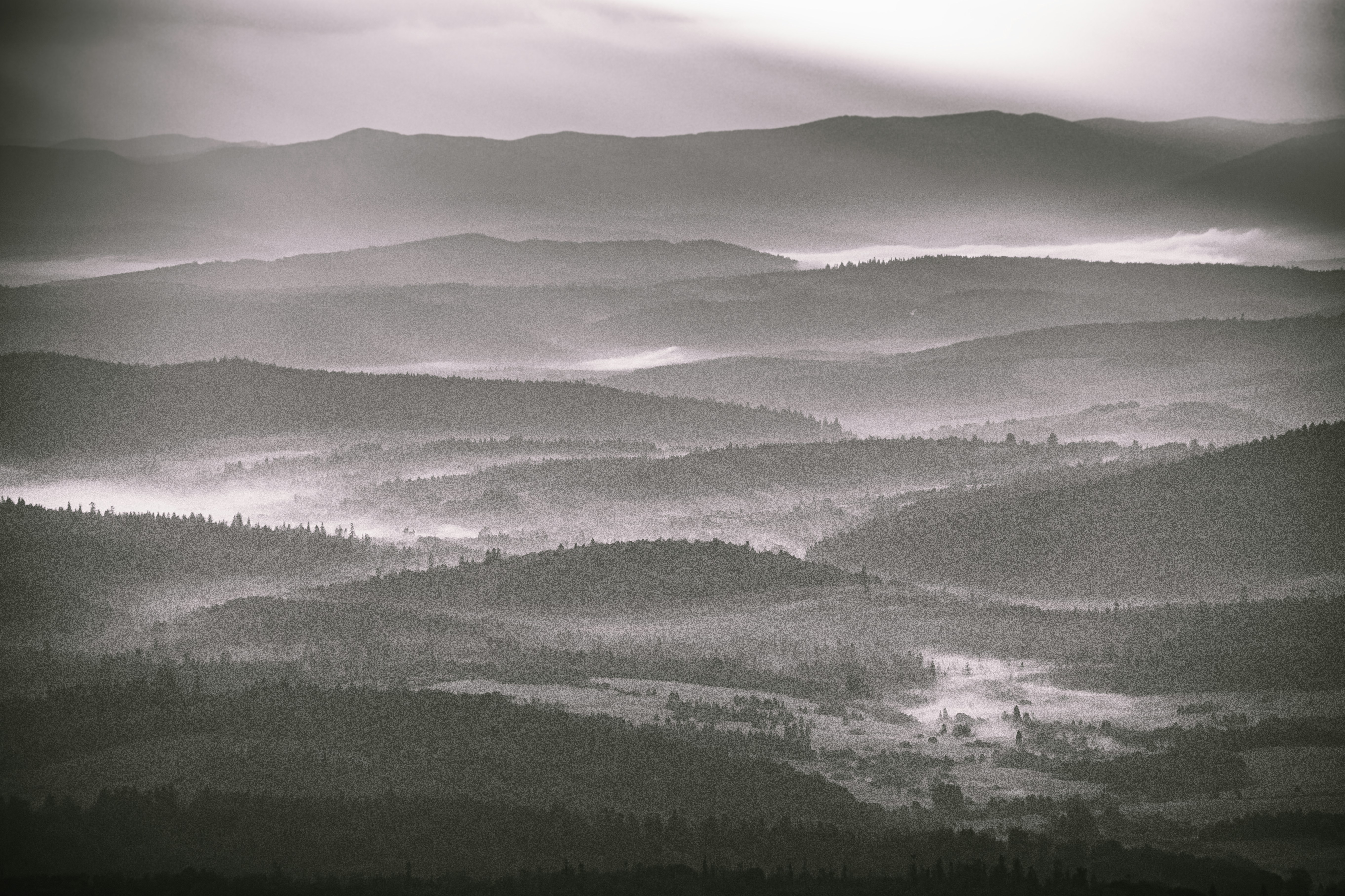 Photo by marekpiwnicki