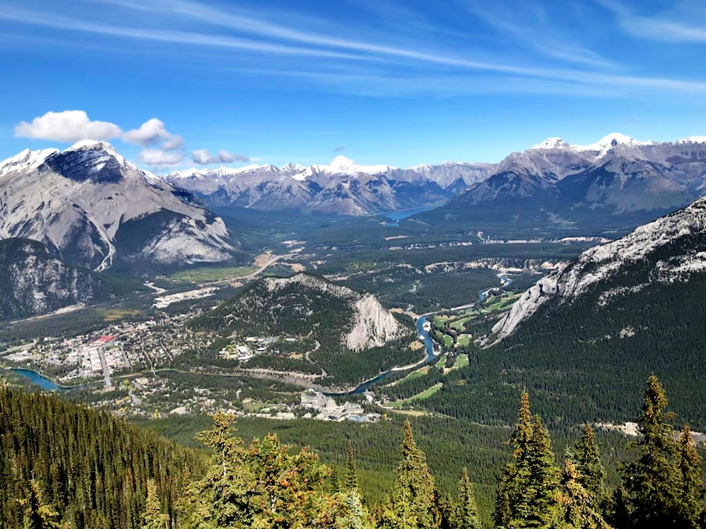 trees, river, and glacier mountains during day