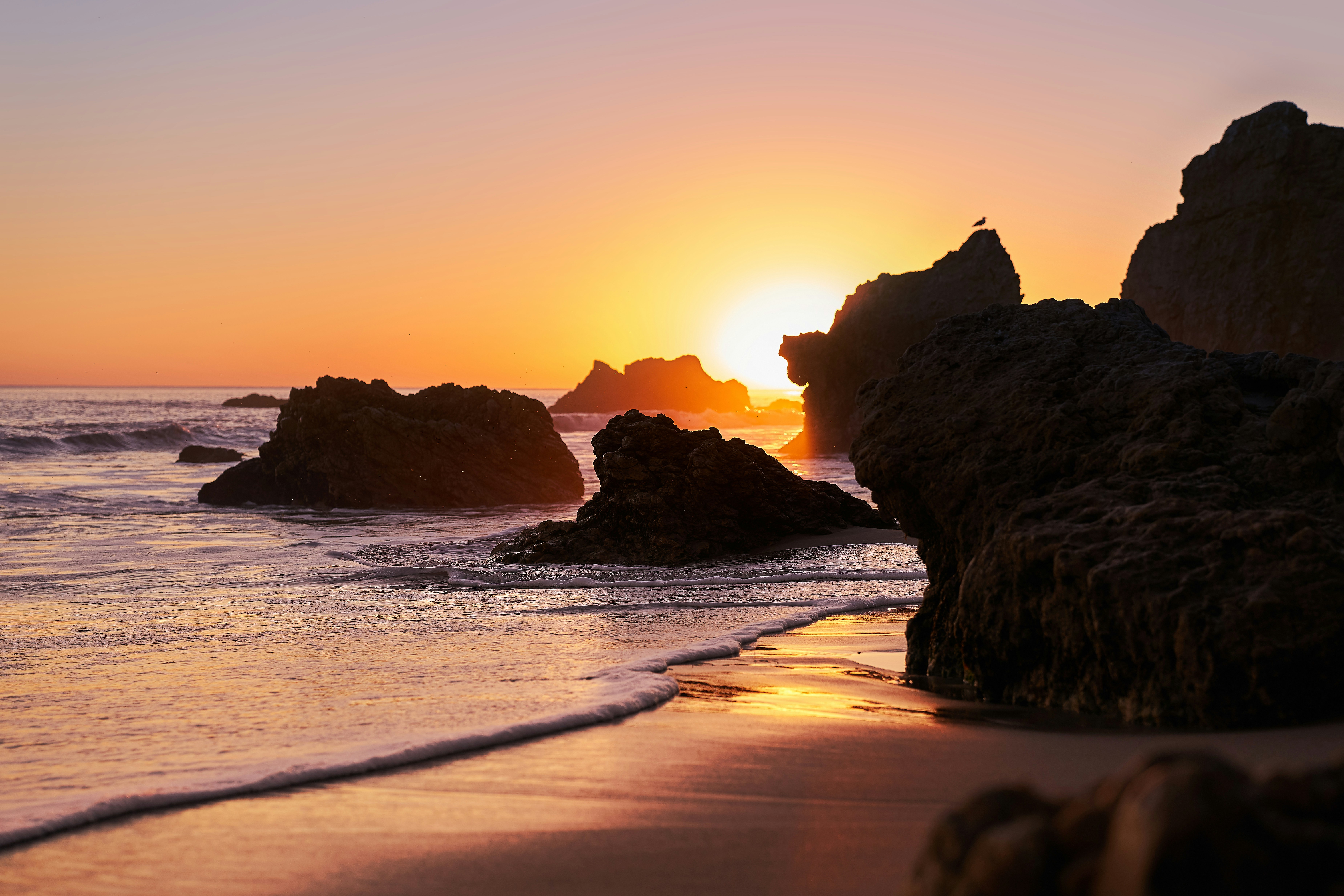 Photo by mattoliveira