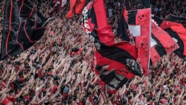 A large crowd of enthusiastic sports fans wave numerous flags in the air. The flags predominantly feature red and black colors, with some having skull motifs. The crowd is densely packed, with many people raising their arms in excitement.